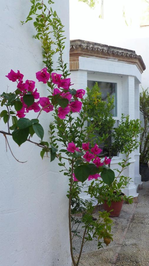 Bed and Breakfast Patios Del Agua El Puerto de Santa María Exterior foto