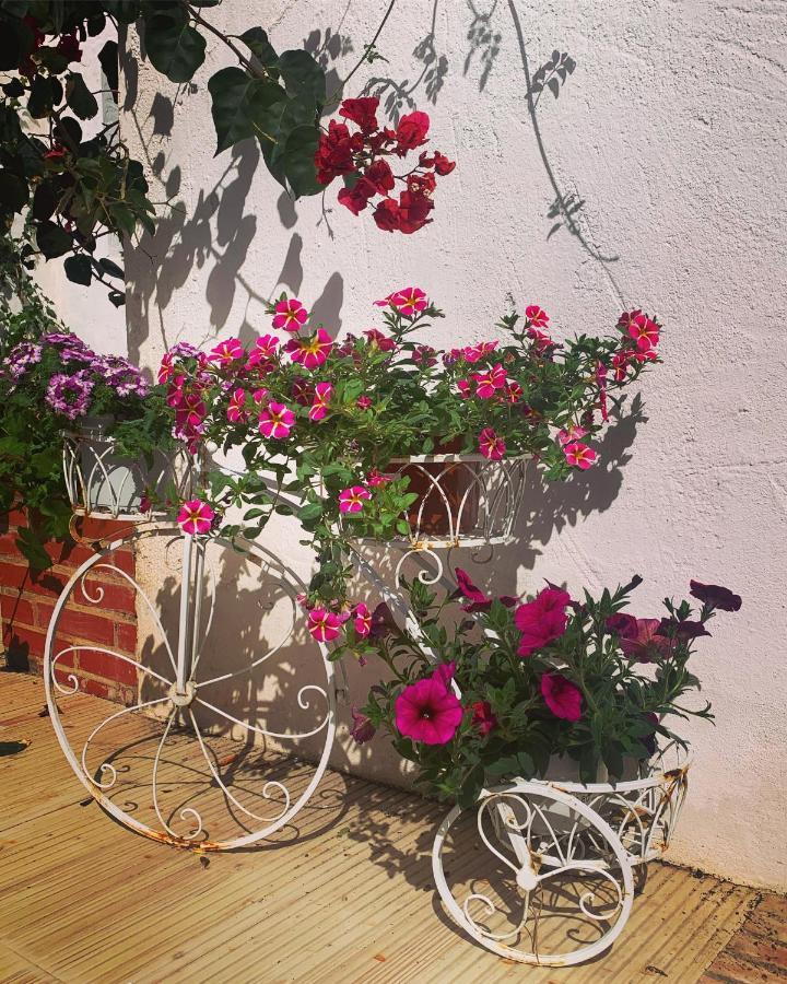 Bed and Breakfast Patios Del Agua El Puerto de Santa María Exterior foto