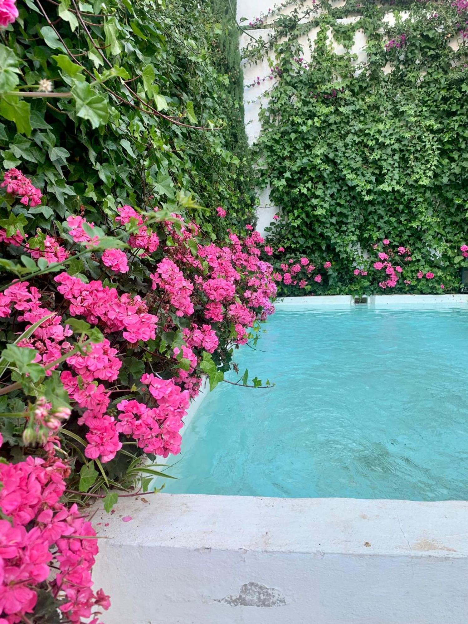 Bed and Breakfast Patios Del Agua El Puerto de Santa María Exterior foto